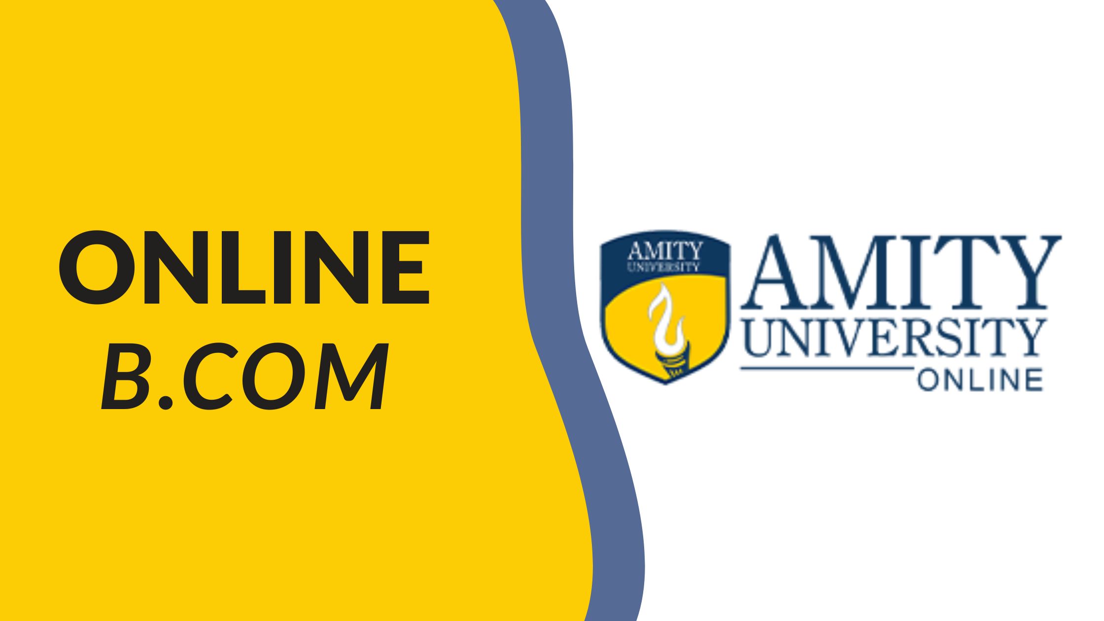 Amity Online BCom