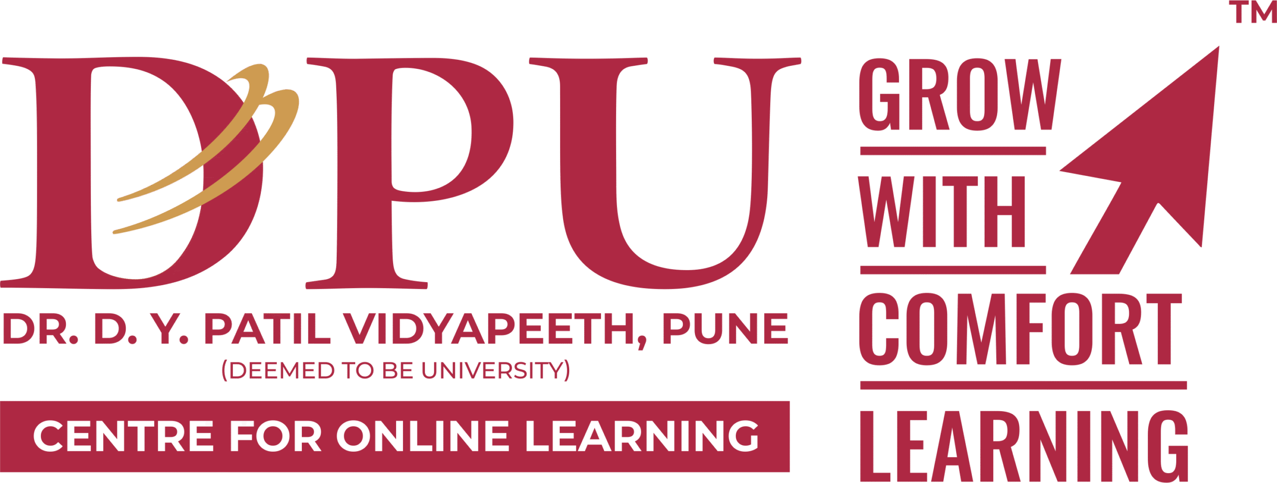 DY Patil University Pune